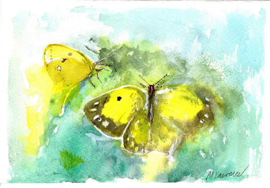 British Cloudy Yellow Butterfly Numbered limited edition Giclee Print of a Watercolour Painting ArtbyMyleslaurence