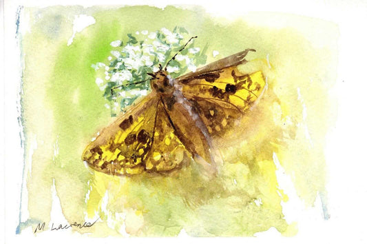 Checkered Skipper Butterfly painting Numbered limited edition Giclee Print of a Watercolour Painting ArtbyMyleslaurence