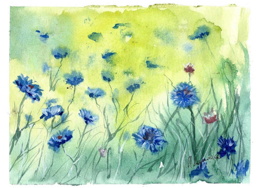 Cornflowers Painting Numbered limited edition Giclee Print of a Watercolour Painting ArtbyMyleslaurence