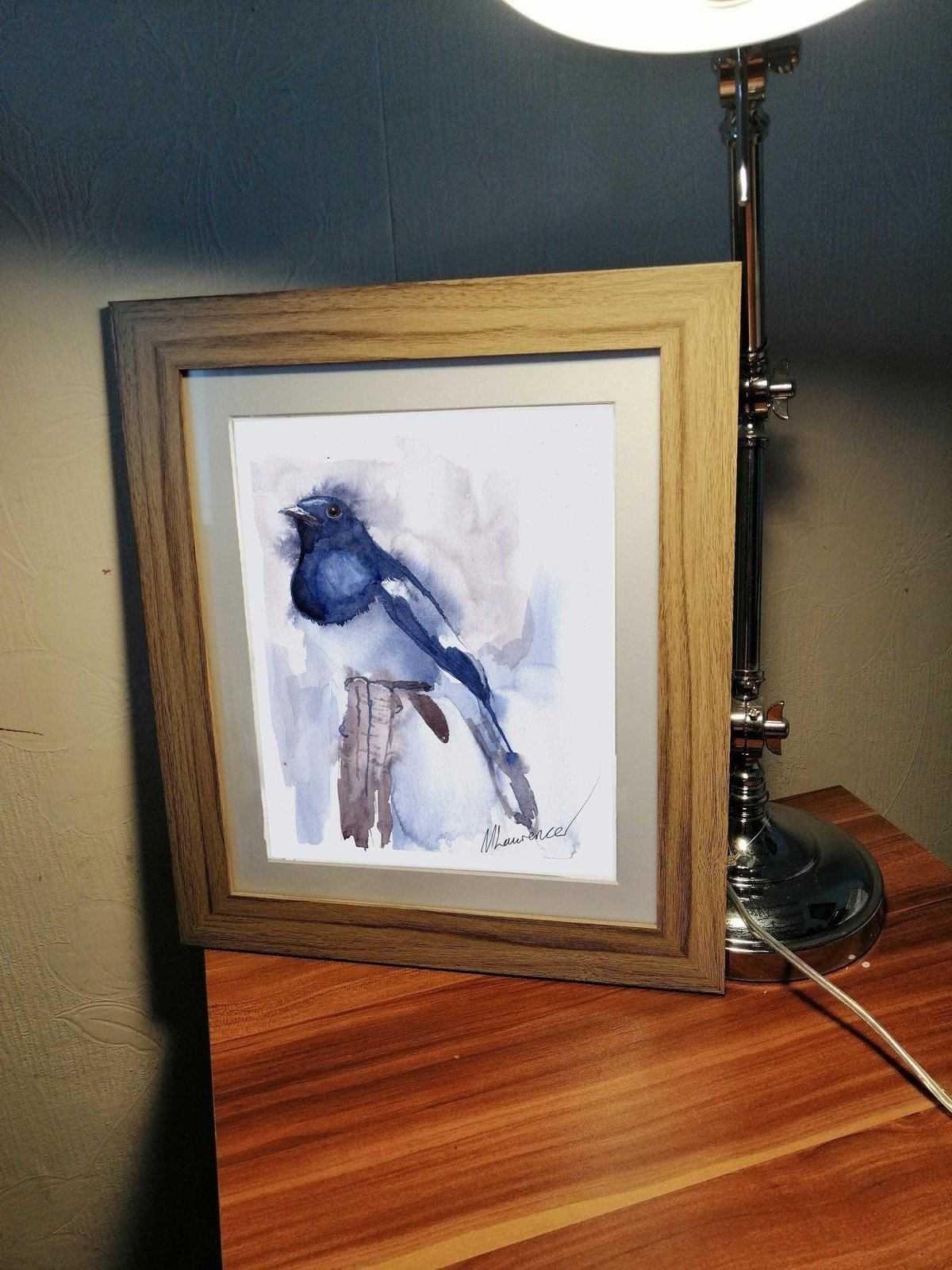 African Magpie Painting Numbered limited edition Giclee Print of a Watercolour Painting ArtbyMyleslaurence