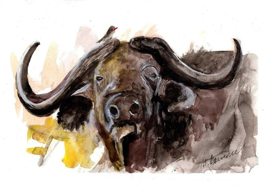 Cape Buffalo Painting Numbered limited edition Giclee Print of a Watercolour Painting ArtbyMyleslaurence