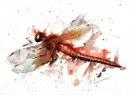 Dragonfly Painting Yellow Winged Darter Numbered limited edition Giclee Print of a Watercolour Painting ArtbyMyleslaurence