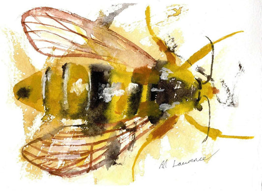 Hornet Painting Numbered limited edition Giclee Print of a Watercolour Painting ArtbyMyleslaurence