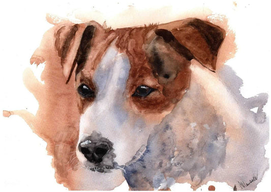 Jack Russell Dog Painting Numbered limited edition Giclee Print of a Watercolour Painting ArtbyMyleslaurence