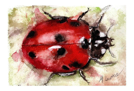 Ladybird Painting Numbered limited edition Giclee Print of a Watercolour Painting ArtbyMyleslaurence