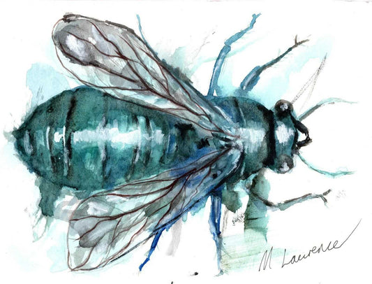 Orchard Blue Bee Painting Numbered limited edition Giclee Print of a Watercolour Painting ArtbyMyleslaurence