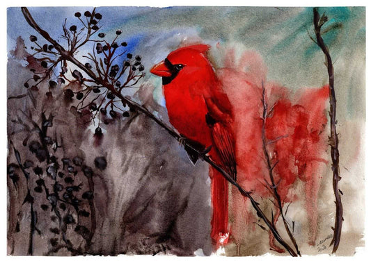 Red Cardinal Painting Numbered limited edition Giclee Print of a Watercolour Painting ArtbyMyleslaurence