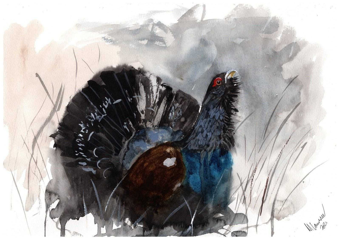 Scottish Black Capercaillie Painting Numbered limited edition Giclee Print of a Watercolour Painting ArtbyMyleslaurence