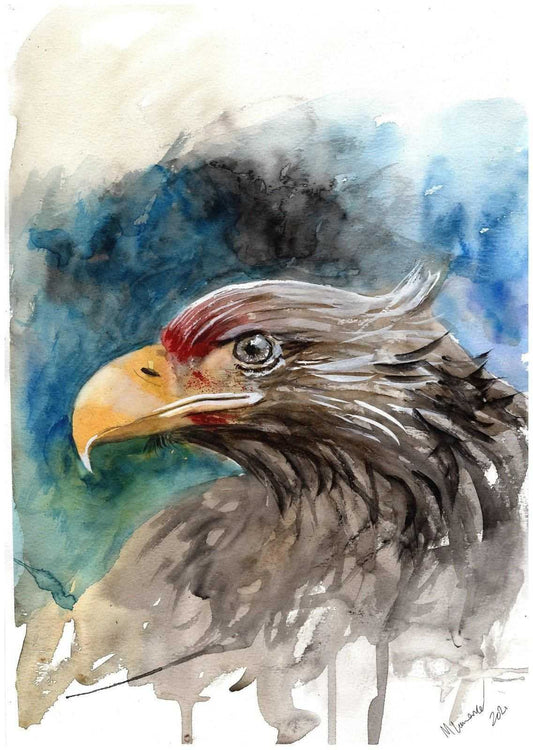 Scottish Sea Eagle Painting Numbered limited edition Giclee Print of a Watercolour Painting ArtbyMyleslaurence