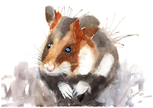 Hamster Painting Numbered limited edition Print